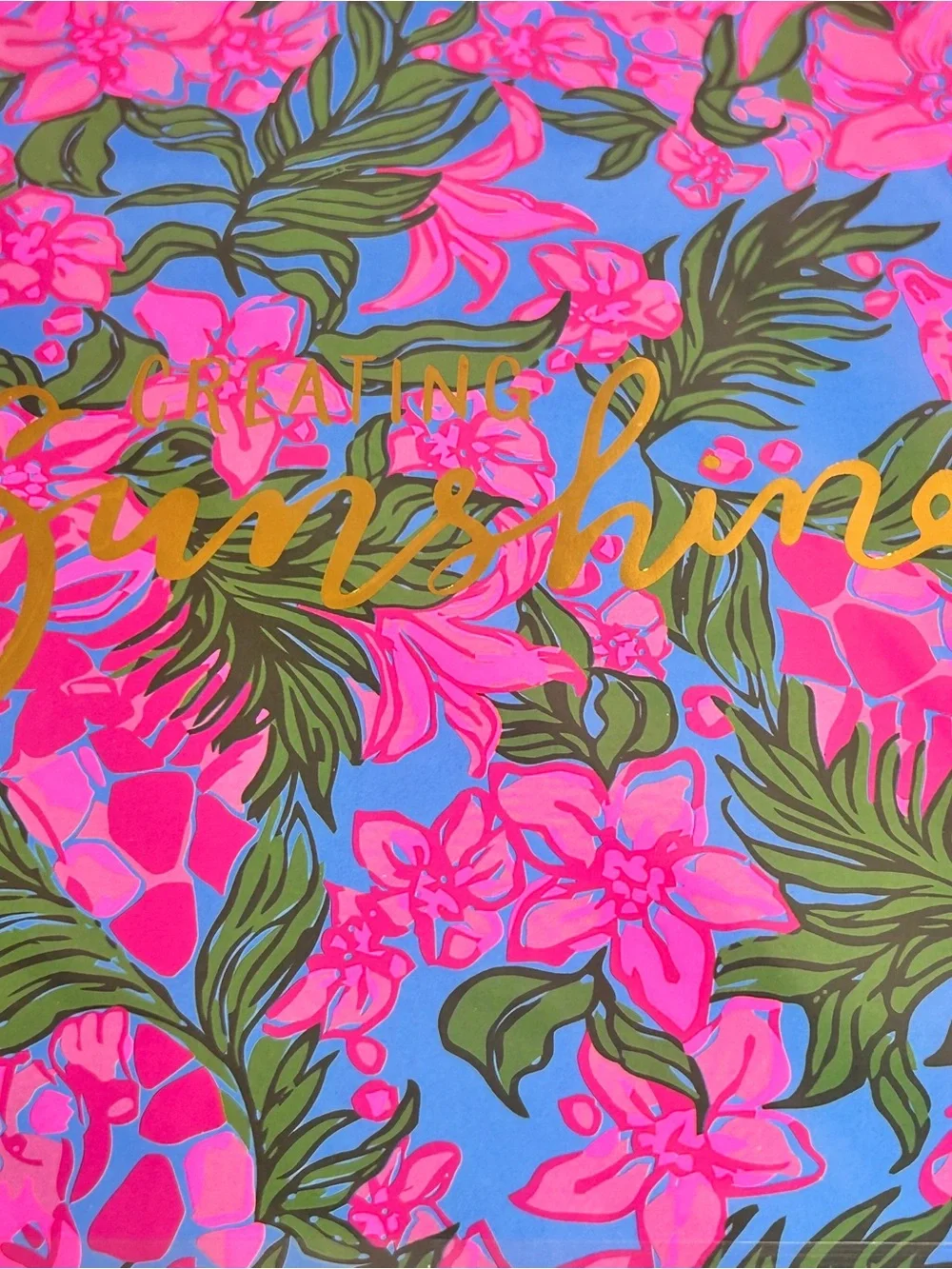 NIP Lilly Pulitzer Safari Sunset Sketchbook & Pencil Case Pouch Set